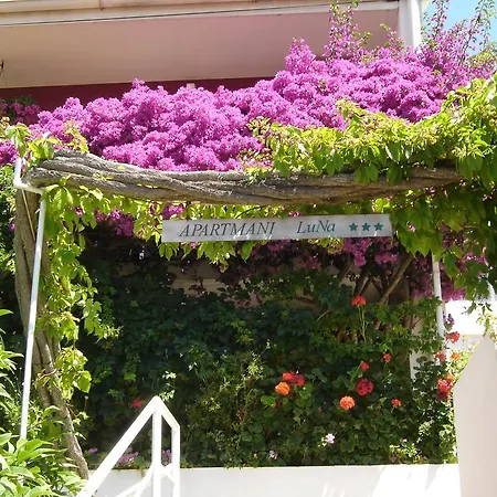 Apartmán Luna *