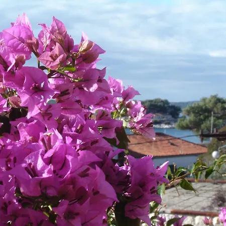 Apartment Luna Hvar Town